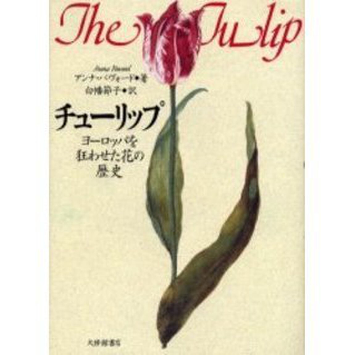 チューリップ　ヨーロッパを狂わせた花の歴史