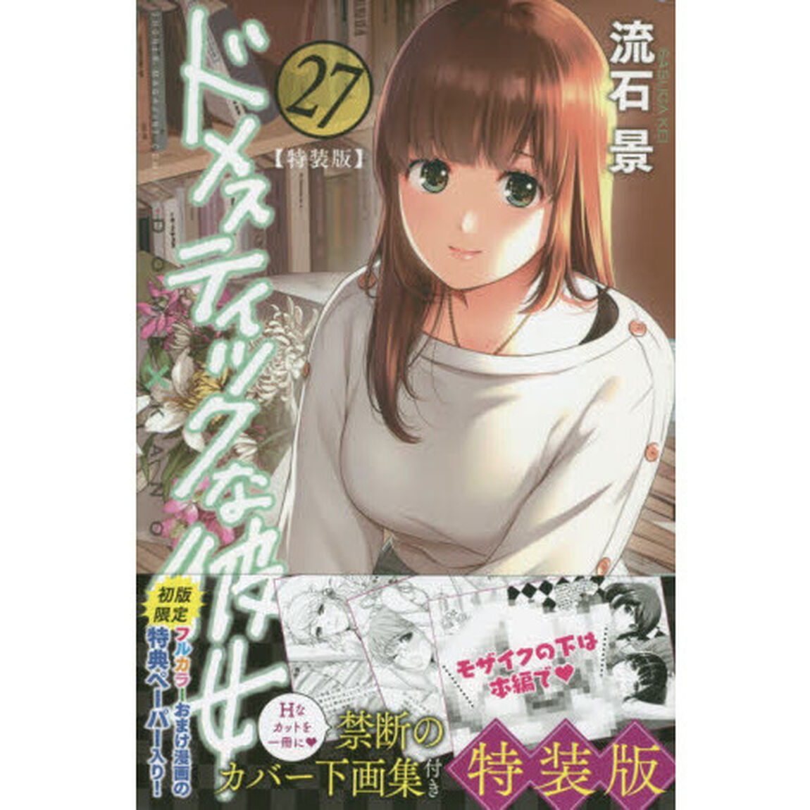 特装版　ドメスティックな彼女　　２７