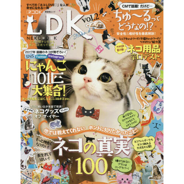 ネコＤＫ　ｖｏｌ．２「ネコの真実１００／にゃんこ１０１匹大集合」