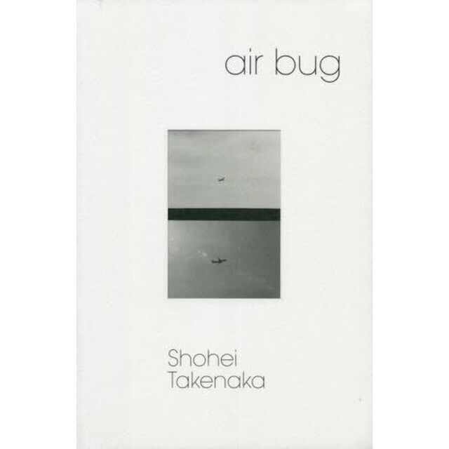 ａｉｒ　ｂｕｇ