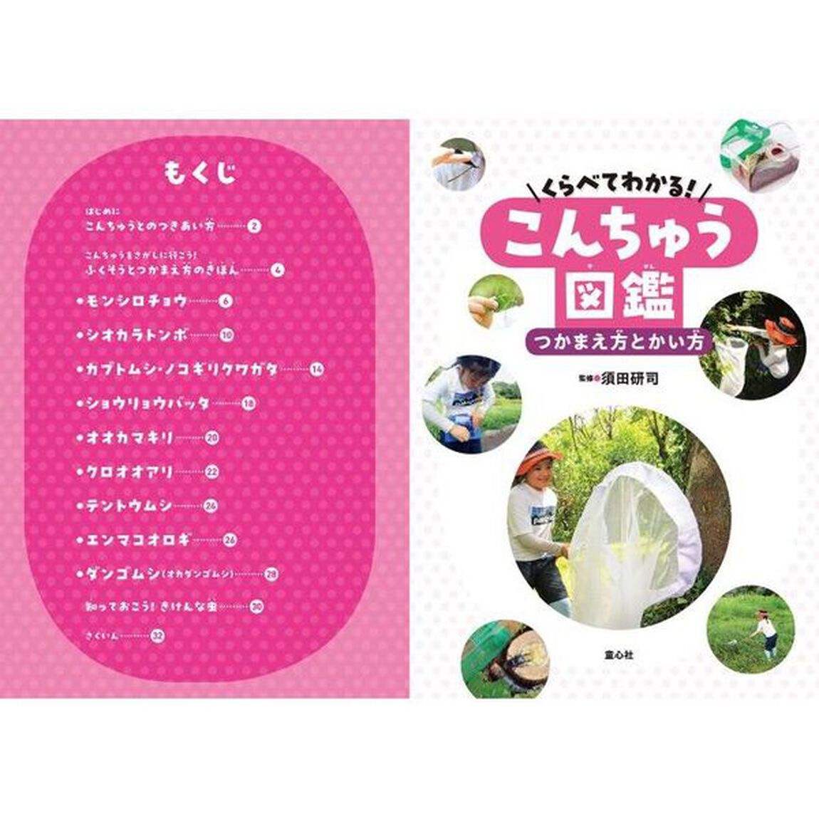くらべてわかる！こんちゅう図鑑　〔１〕「つかまえ方とかい方」