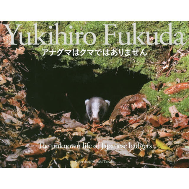 アナグマはクマではありません　Ｔｈｅ　ｕｎｋｎｏｗｎ　ｌｉｆｅ　ｏｆ　Ｊａｐａｎｅｓｅ　ｂａｄｇｅｒｓ
