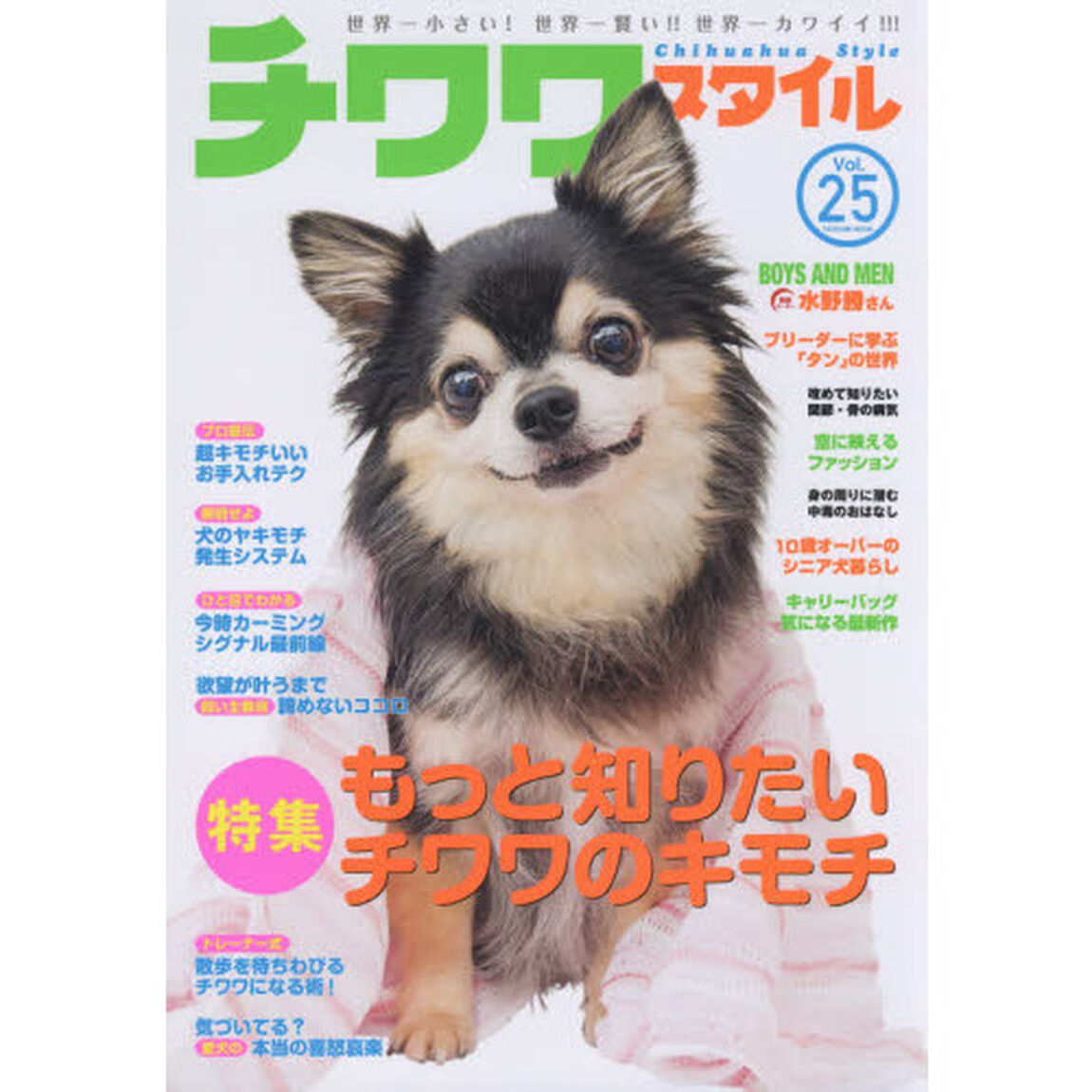 チワワスタイル　世界一小さい！世界一賢い！！世界一カワイイ！！！　Ｖｏｌ．２５