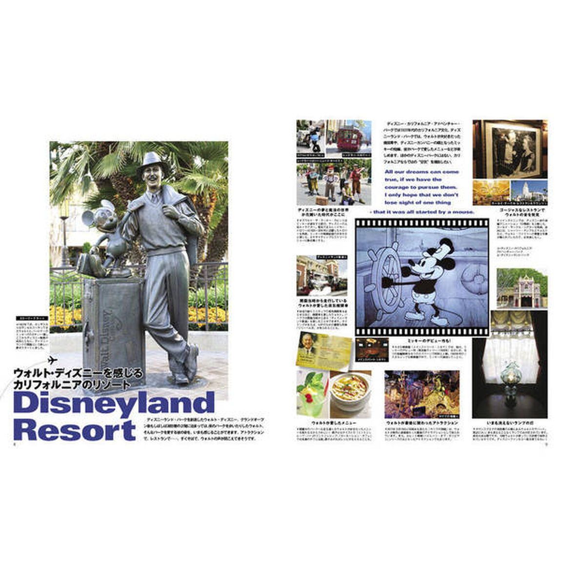 Disney PARKS PERFECT GUIDEBOOK 2018 (DISNEY FAN MOOK)