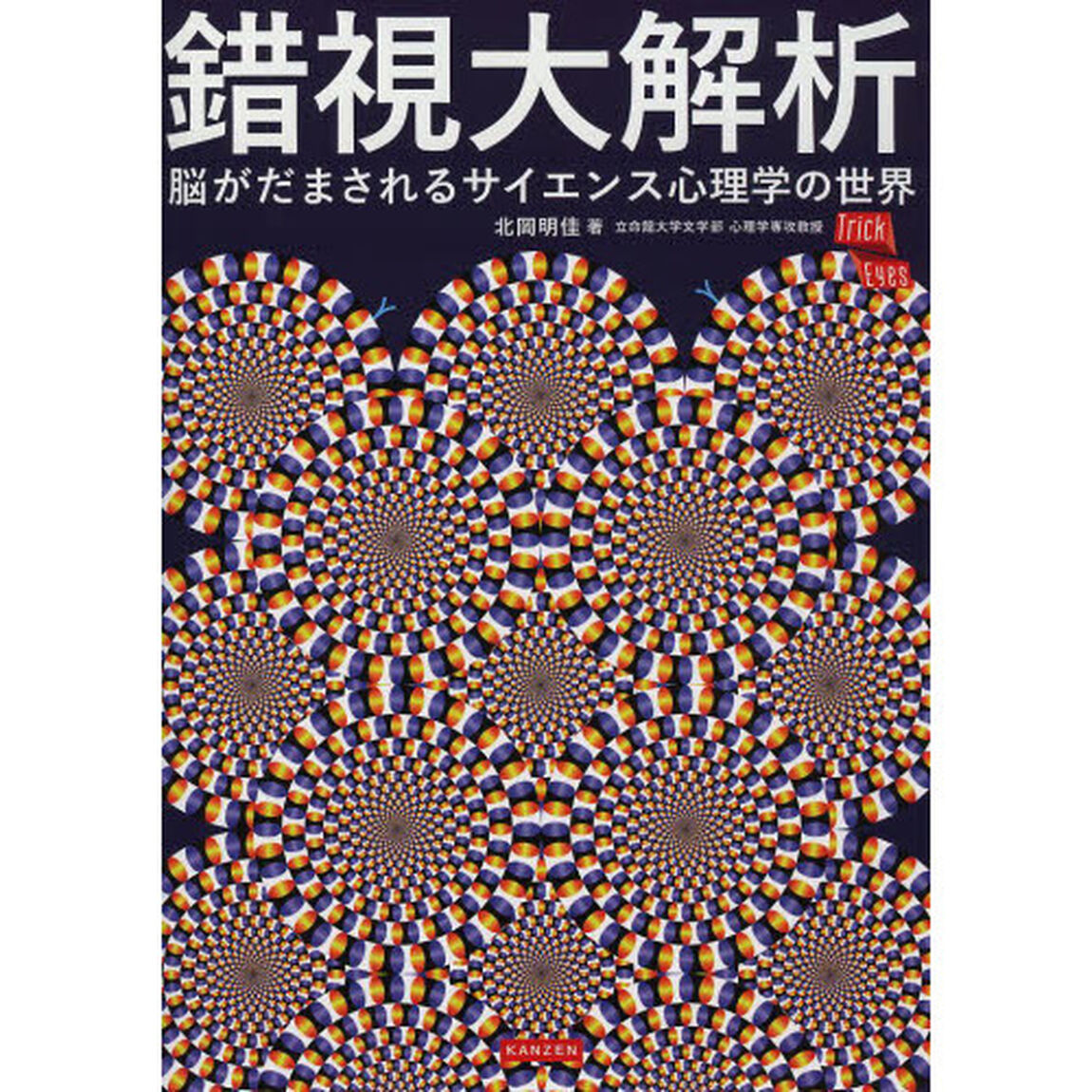 錯視大解析　脳がだまされるサイエンス心理学の世界