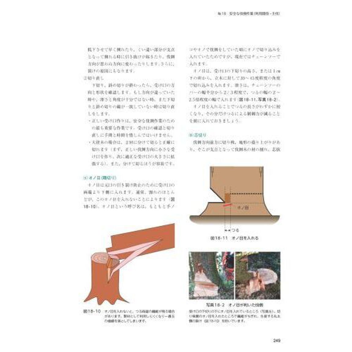 &rsquo;２３　フォレストワーカー研修テキス　１