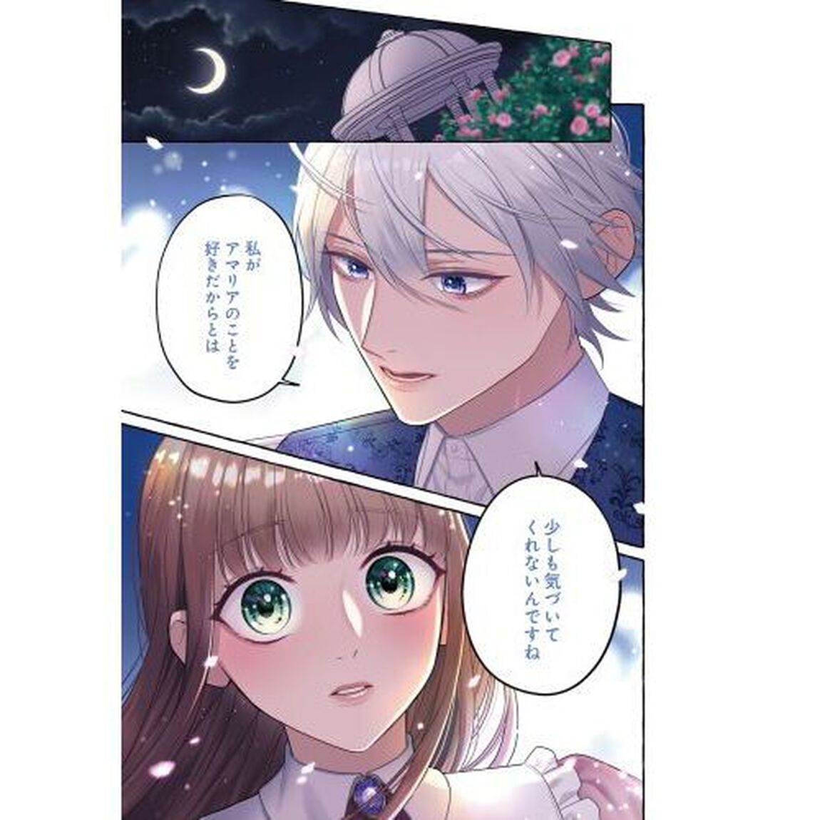 妹に婚約者を取られたら見知らぬ公爵様に求婚されました　第３巻