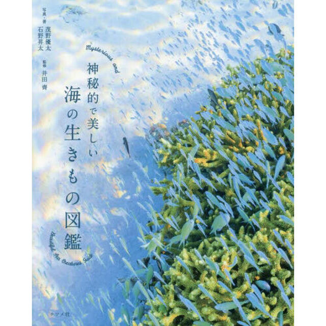 神秘的で美しい海の生きもの図鑑
