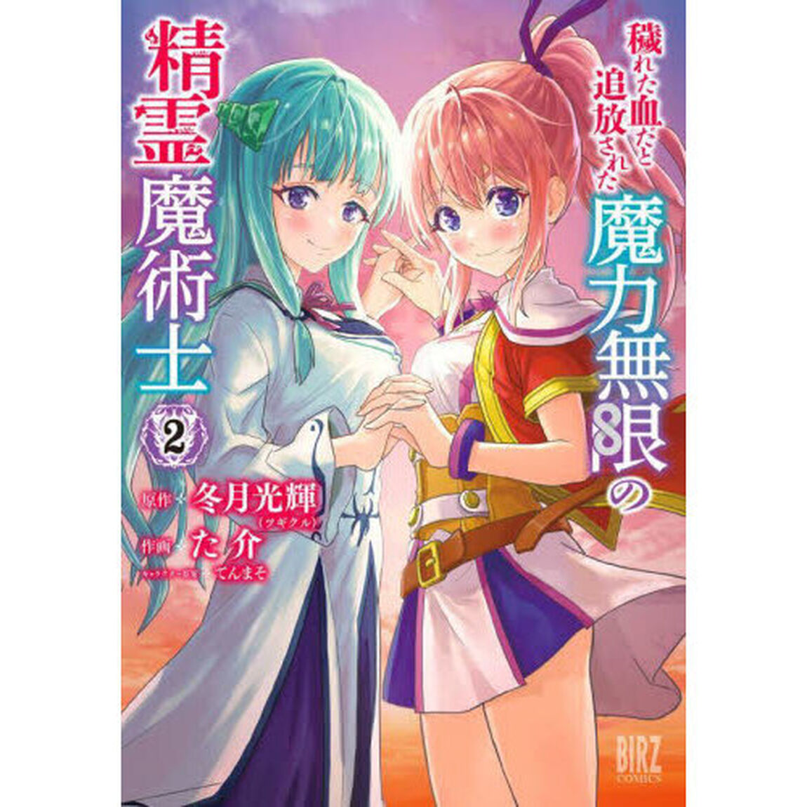 穢れた血だと追放された魔力無限の精霊　２