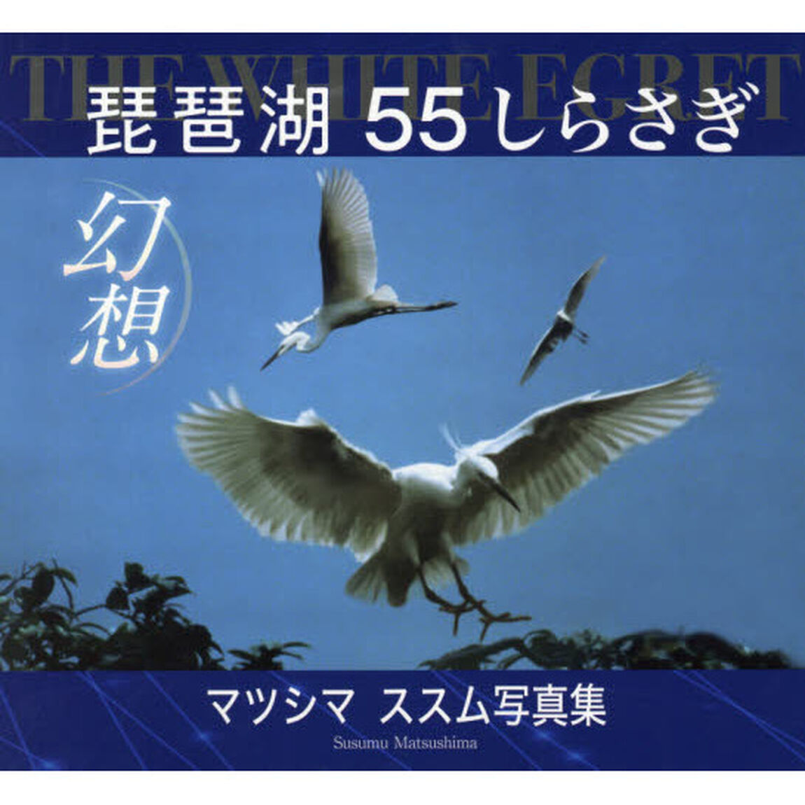 ＴＨＥ　ＷＨＩＴＥ　ＥＧＲＥＴ琵琶湖５５しらさぎ幻想　マツシマススム写真集