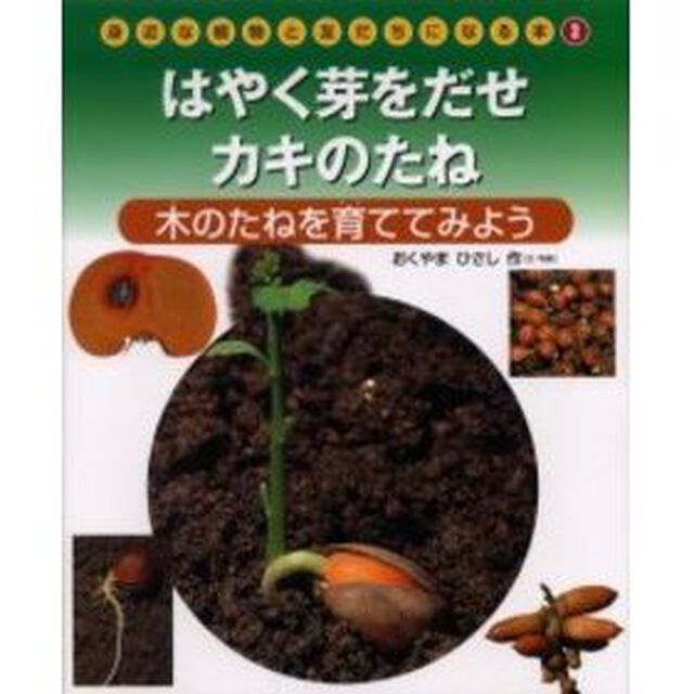 身近な植物と友だちになる本　３「はやく芽をだせカキのたね　木のたねを育ててみよう」