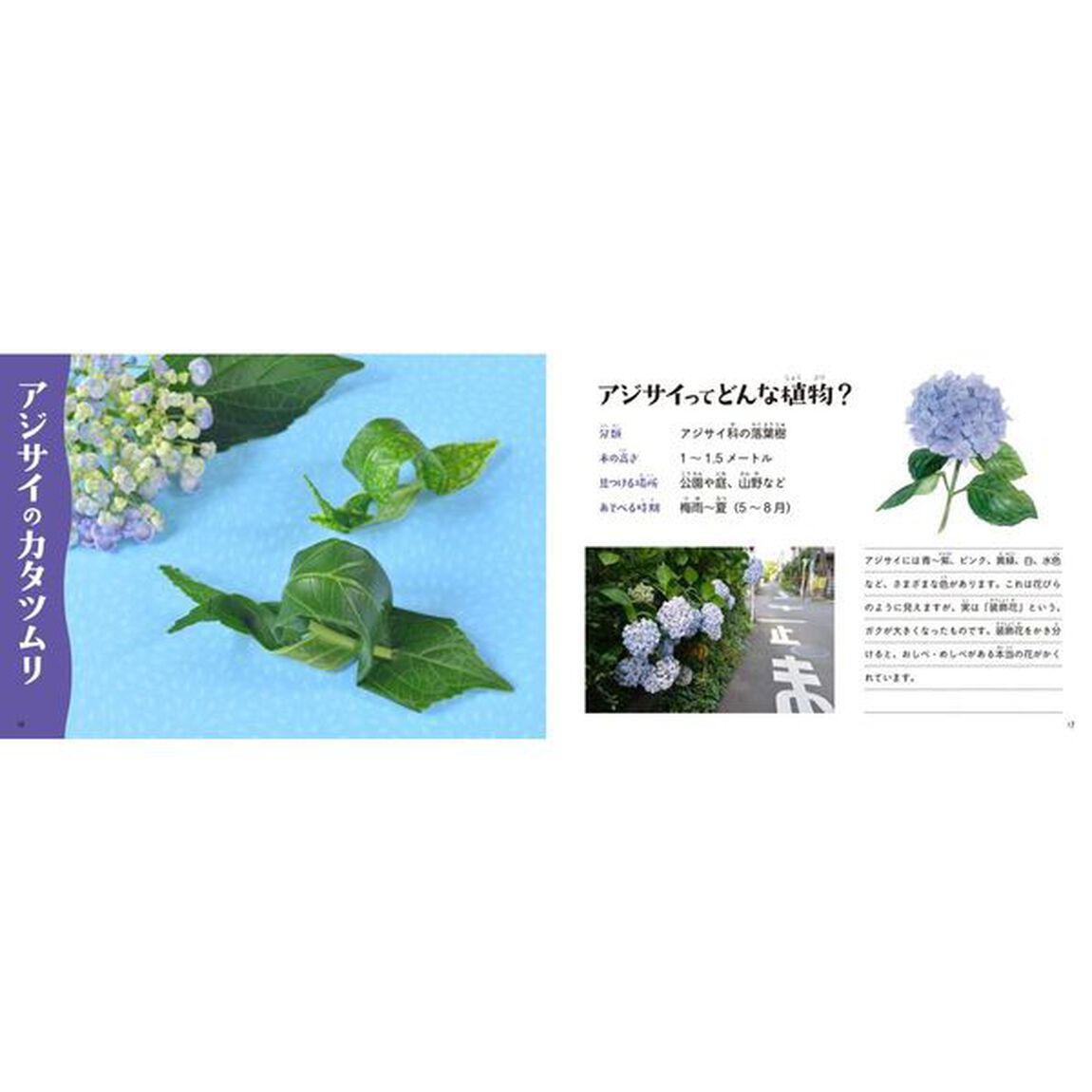 作ってびっくり！かわいい草花あそび
