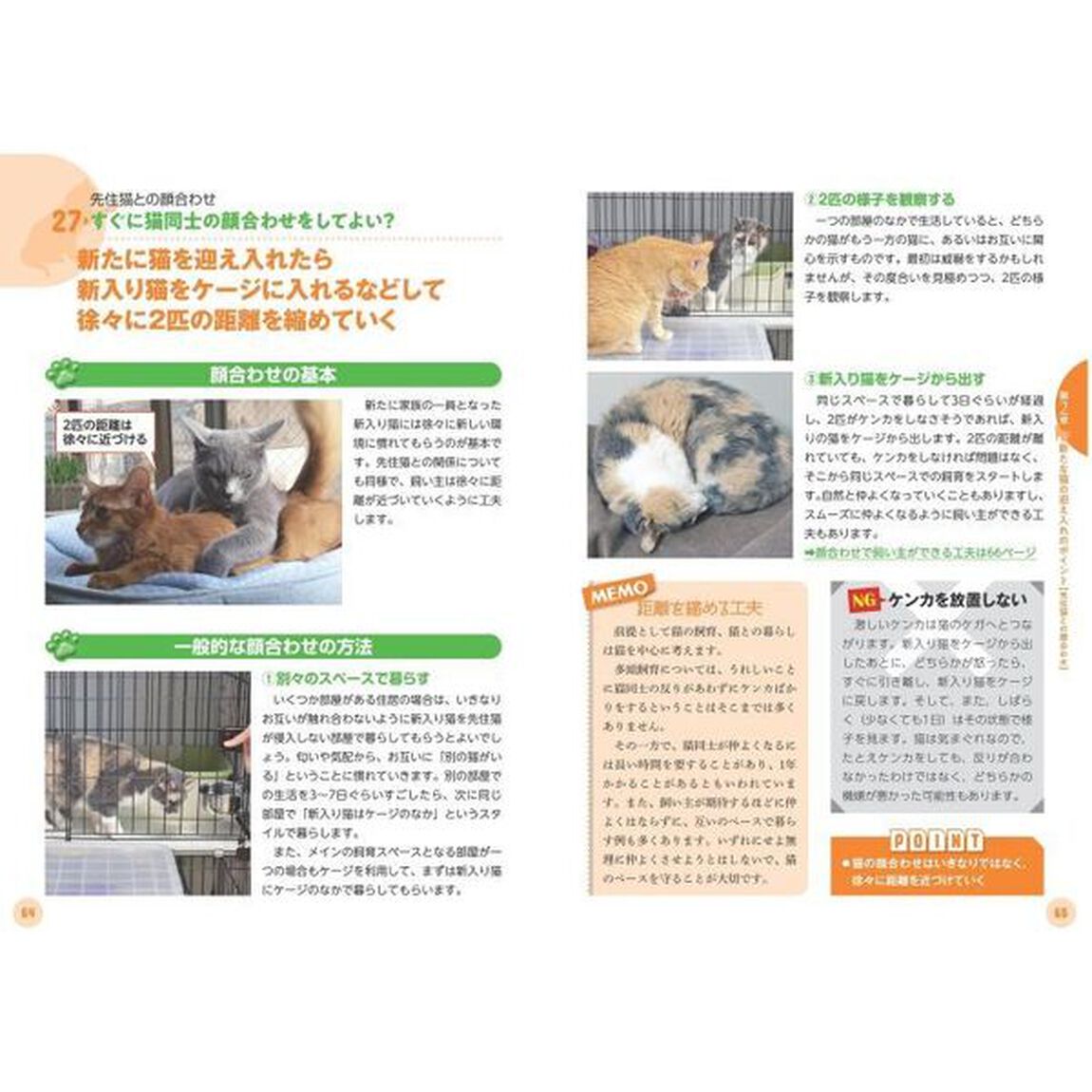 知っておきたいネコの多頭飼いのすべて　獣医師が教える幸せに暮らすためのポイント
