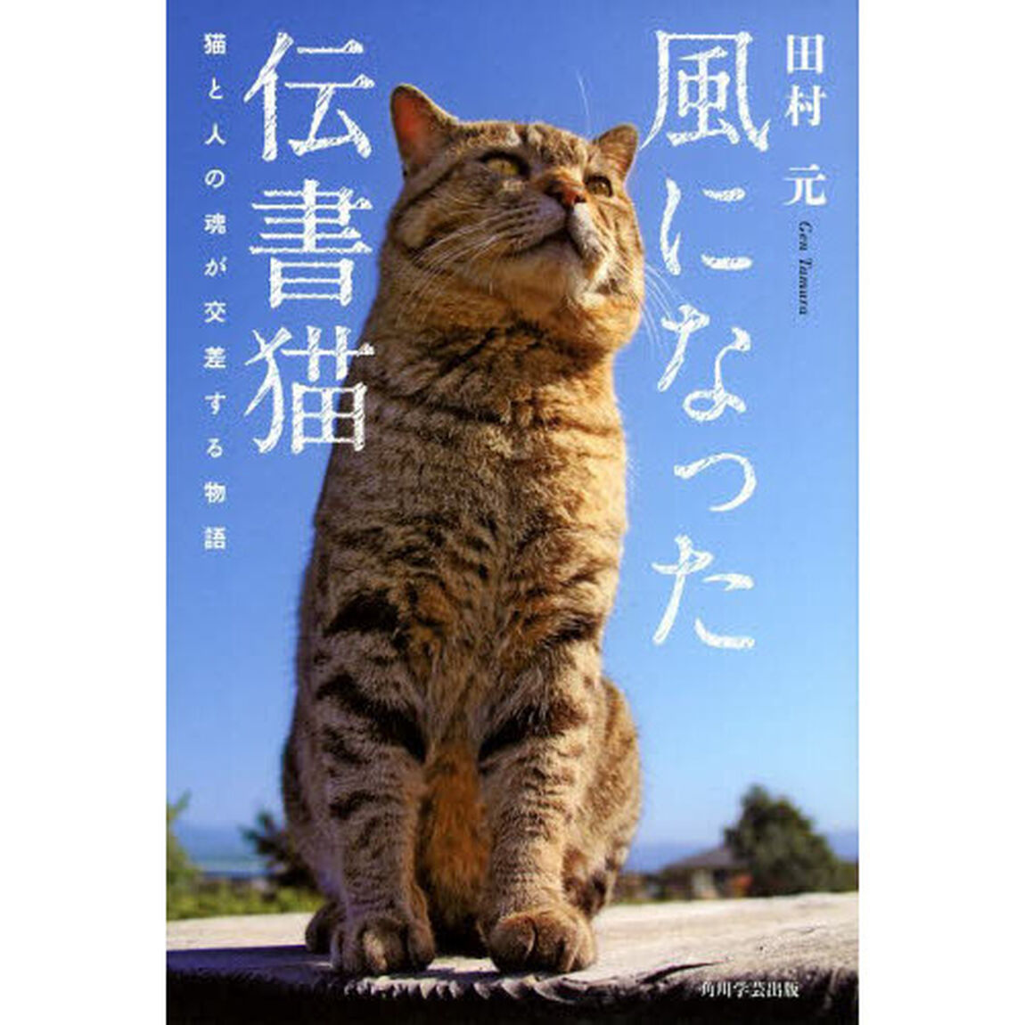 風になった伝書猫　猫と人の魂が交差する物語