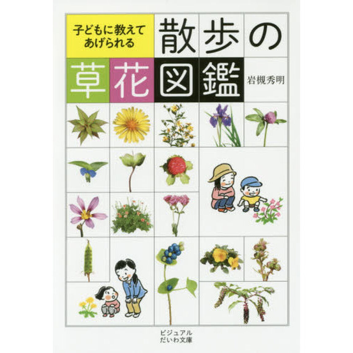 子どもに教えてあげられる散歩の草花図鑑