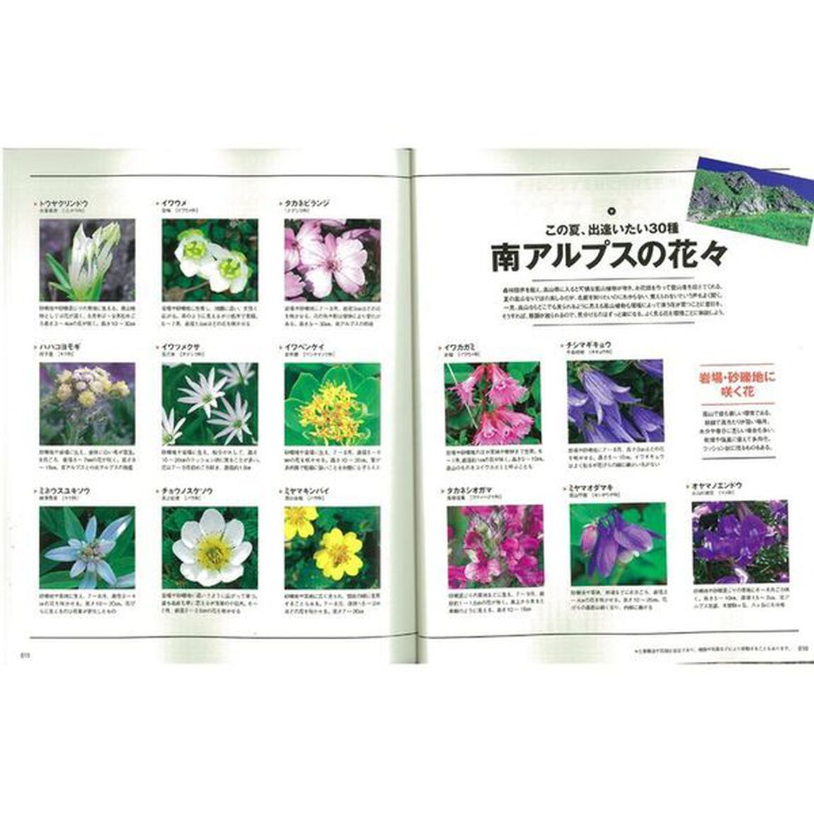 南アルプス詳細ルートガイド　メジャールートからマイナールートまで徹底解説