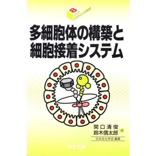 多細胞体の構築と細胞接着システム
