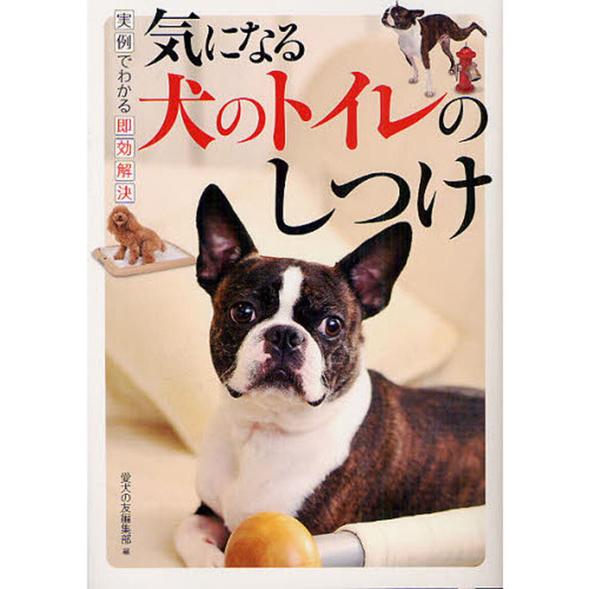 気になる犬のトイレのしつけ　実例でわかる即効解決