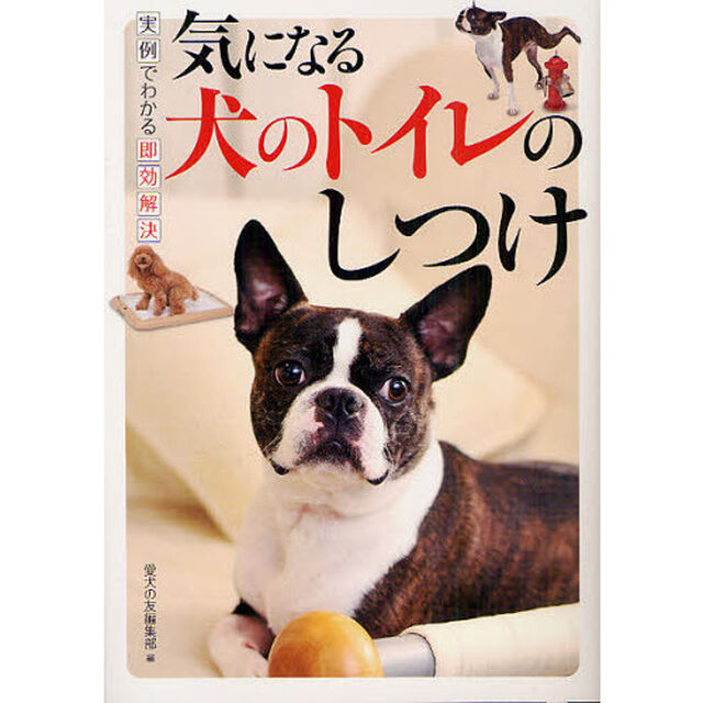 気になる犬のトイレのしつけ　実例でわかる即効解決