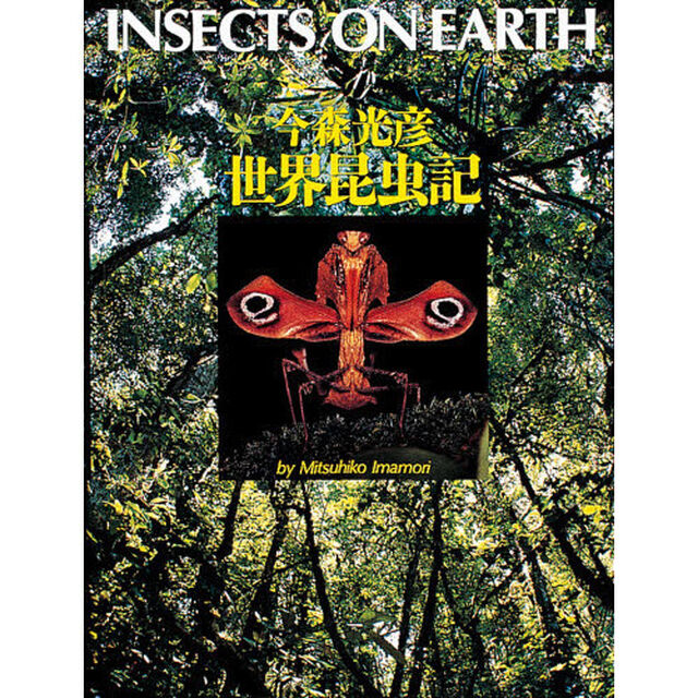 今森光彦世界昆虫記