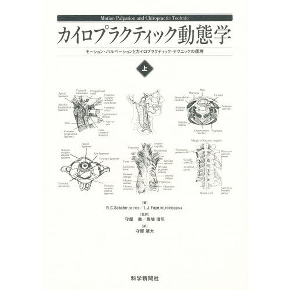 カイロプラクティック動態学　上