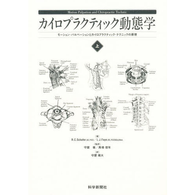 カイロプラクティック動態学　上