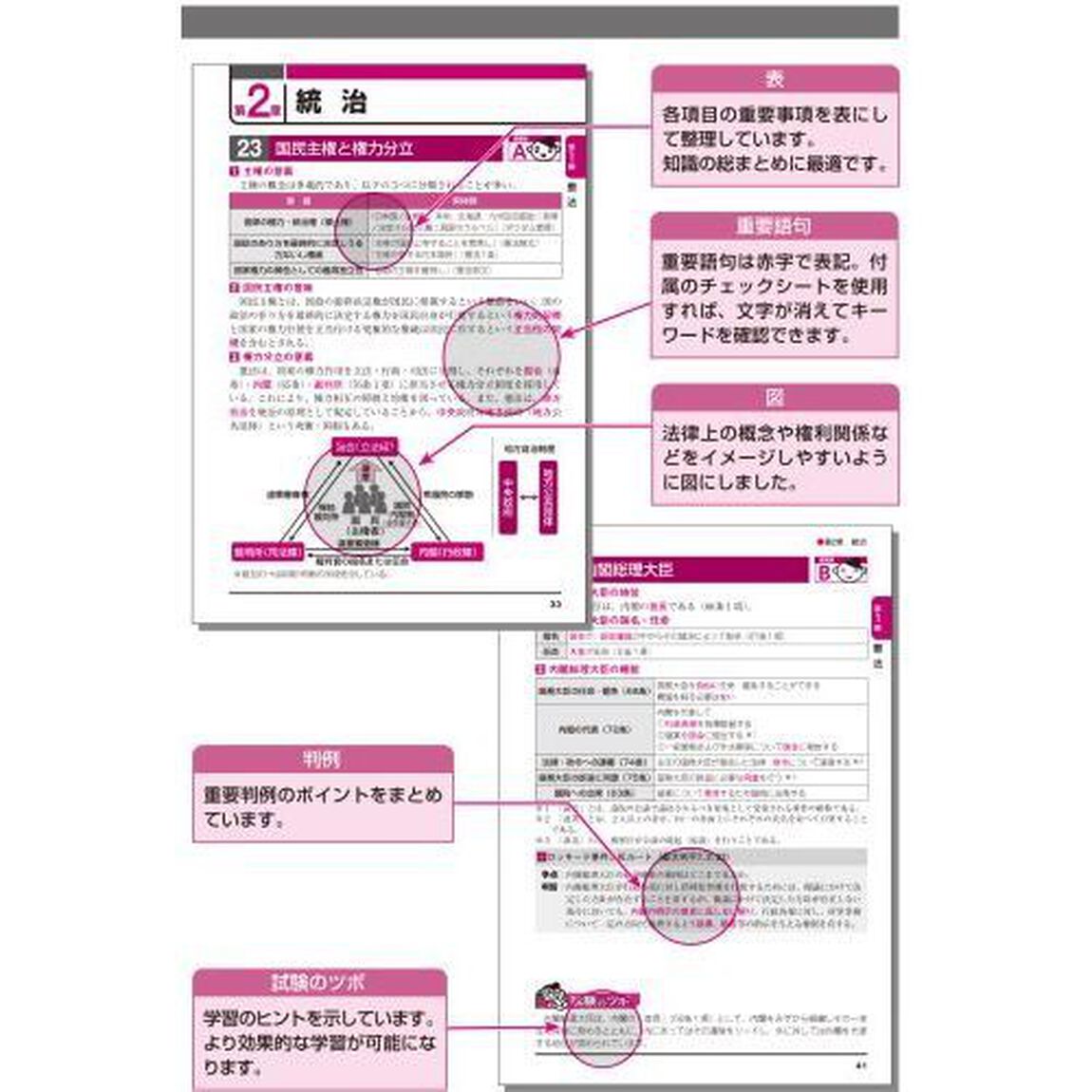 出る順行政書士最重要論点２５０　２０２２年版