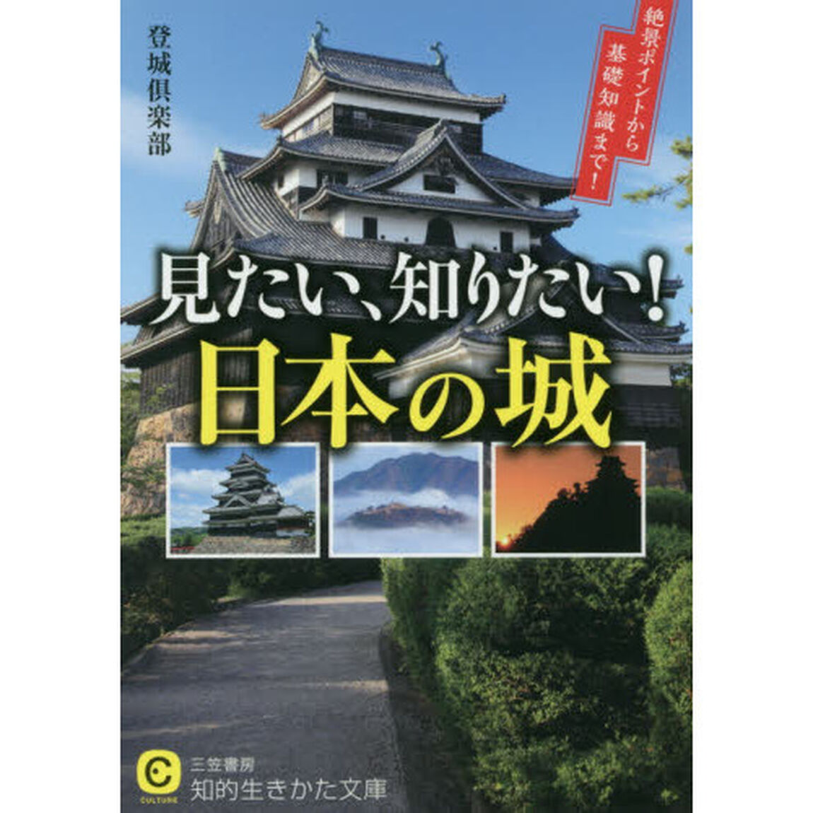 見たい、知りたい！日本の城