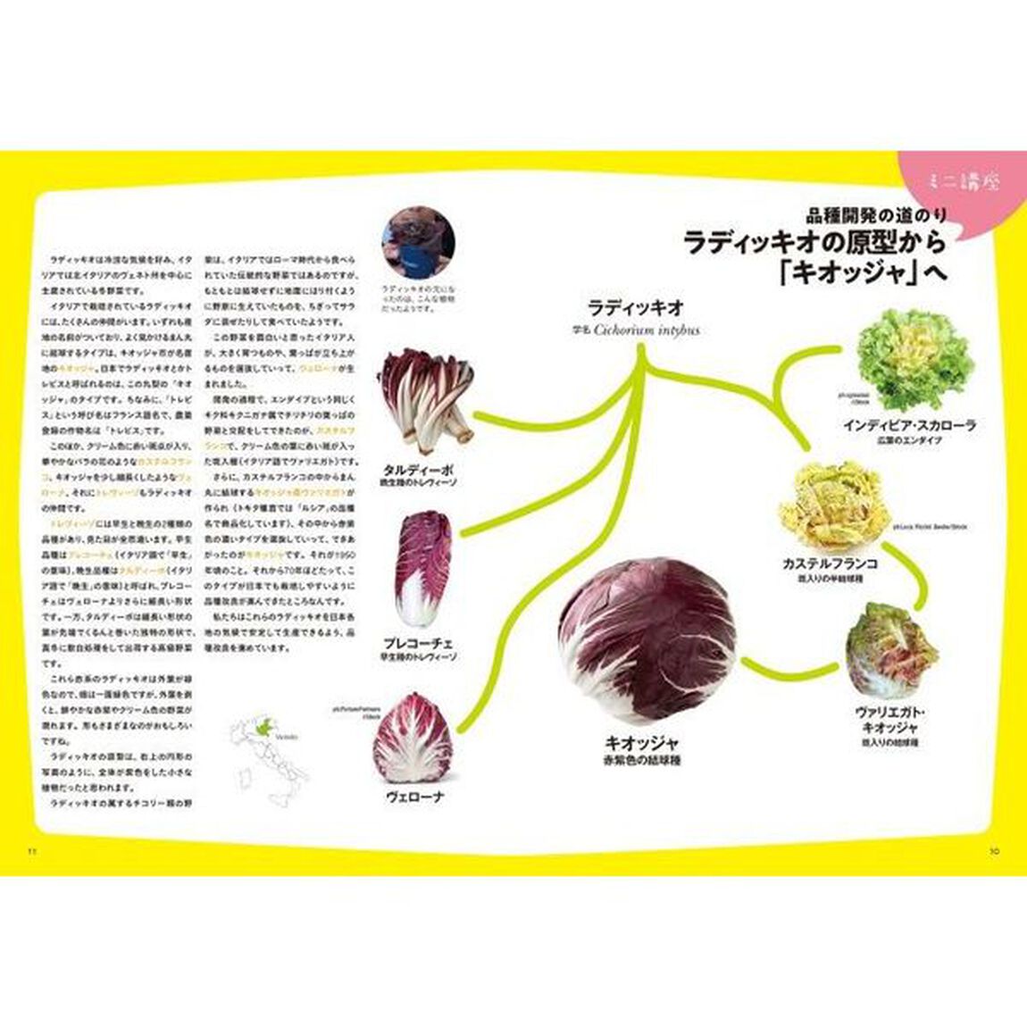 イタリア野菜の栽培法　「グストイタリア」の育種家が教える