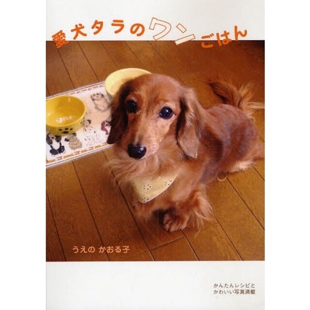 愛犬タラのワンごはん