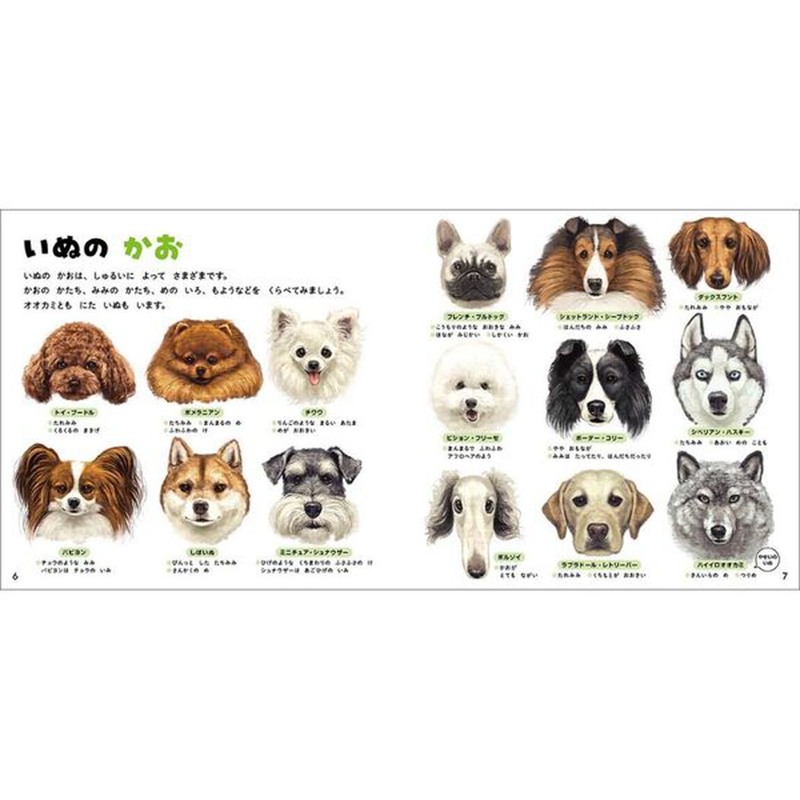 いぬのずかん　家いぬと野生いぬ