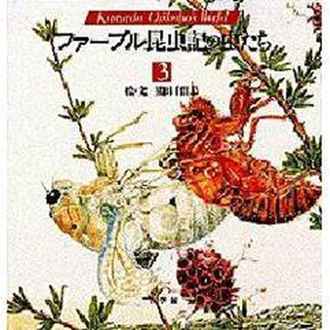 ファーブル昆虫記の虫たち　Ｋｕｍａｄａ　Ｃｈｉｋａｂｏ&rsquo;ｓ　ｗｏｒｌｄ　３