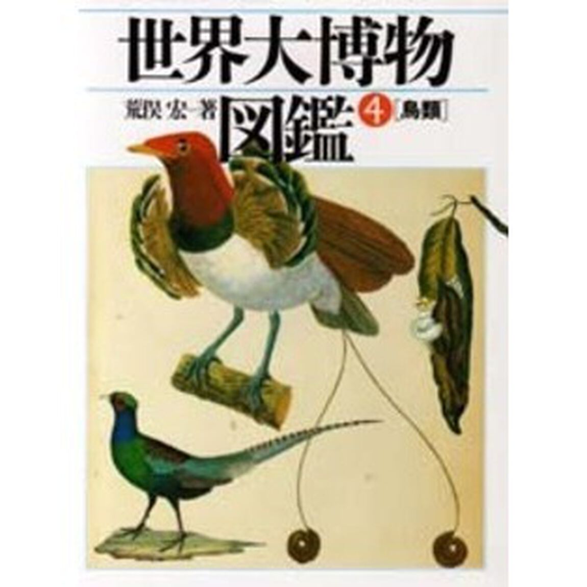 世界大博物図鑑　Ａｔｌａｓ　ａｎｉｍａ　４「鳥類」