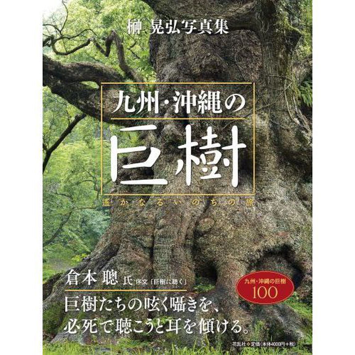 九州・沖縄の巨樹　遙かなるいのちの旅　榊晃弘写真集