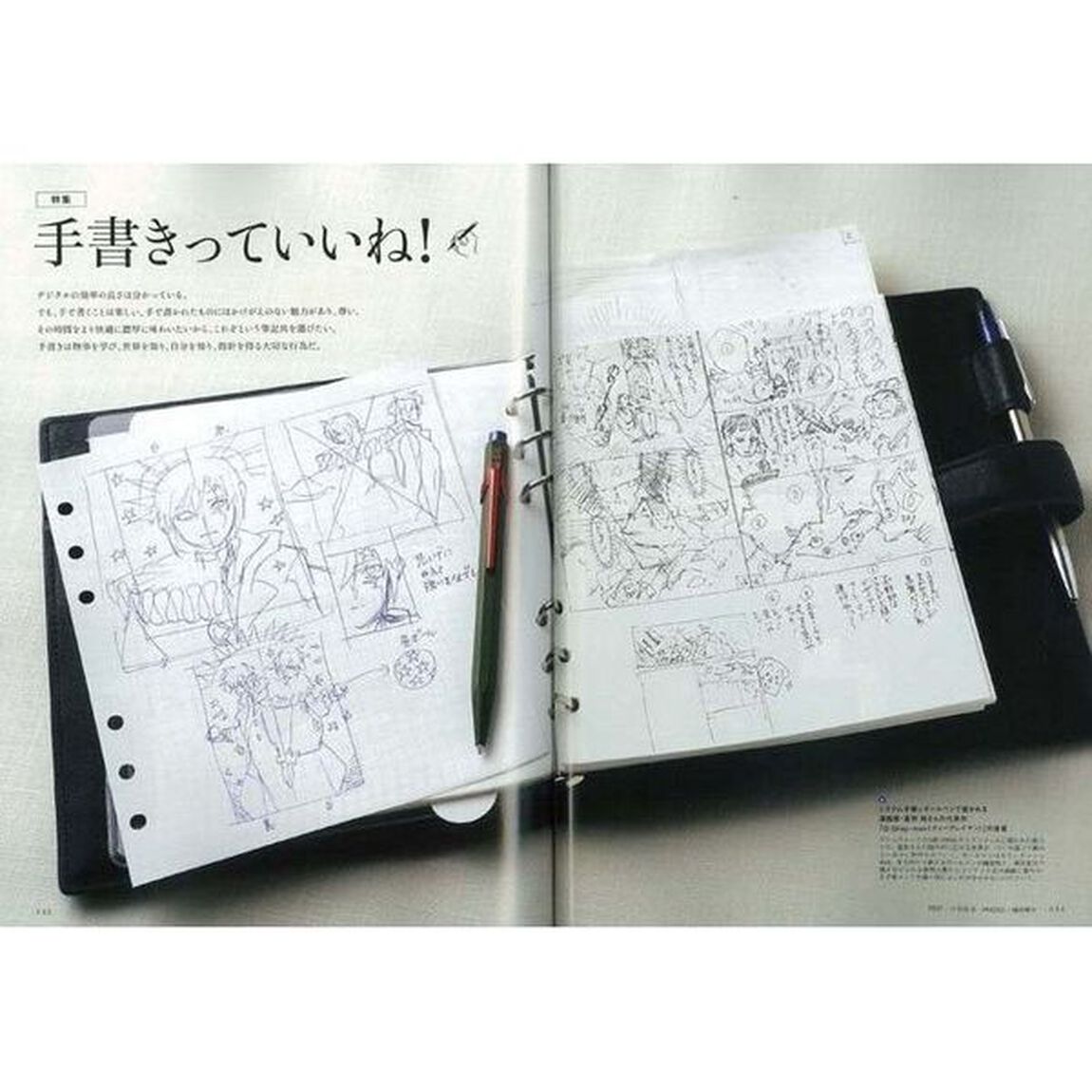 趣味の文具箱　文房具を愛し、人生を楽しむ本。　ｖｏｌ．５０「手書きっていいね！　漫画家・星野桂さんのアイデア帳／ペリカン茶縞のすべて」