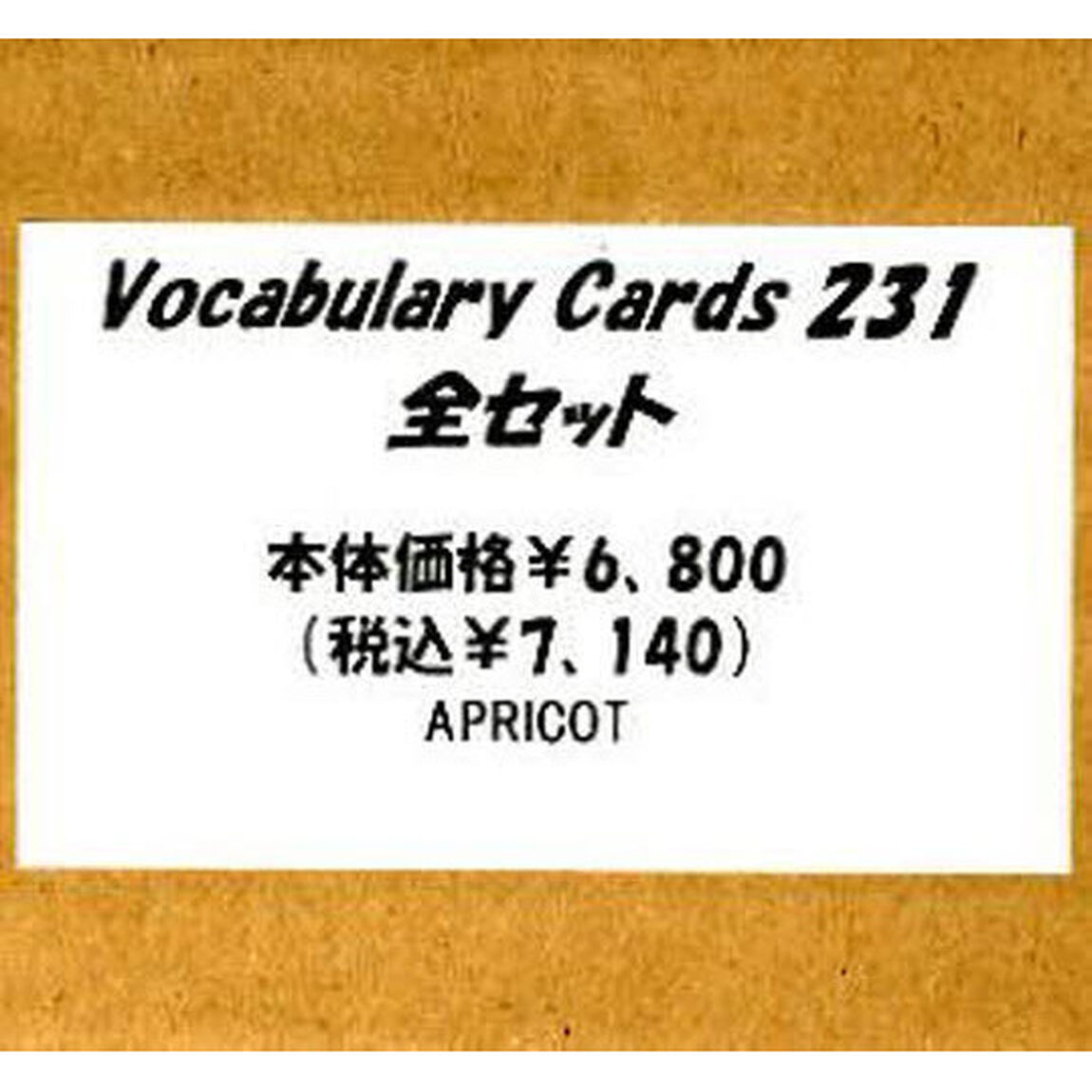 ボキャブラリーカード２３１　全セット