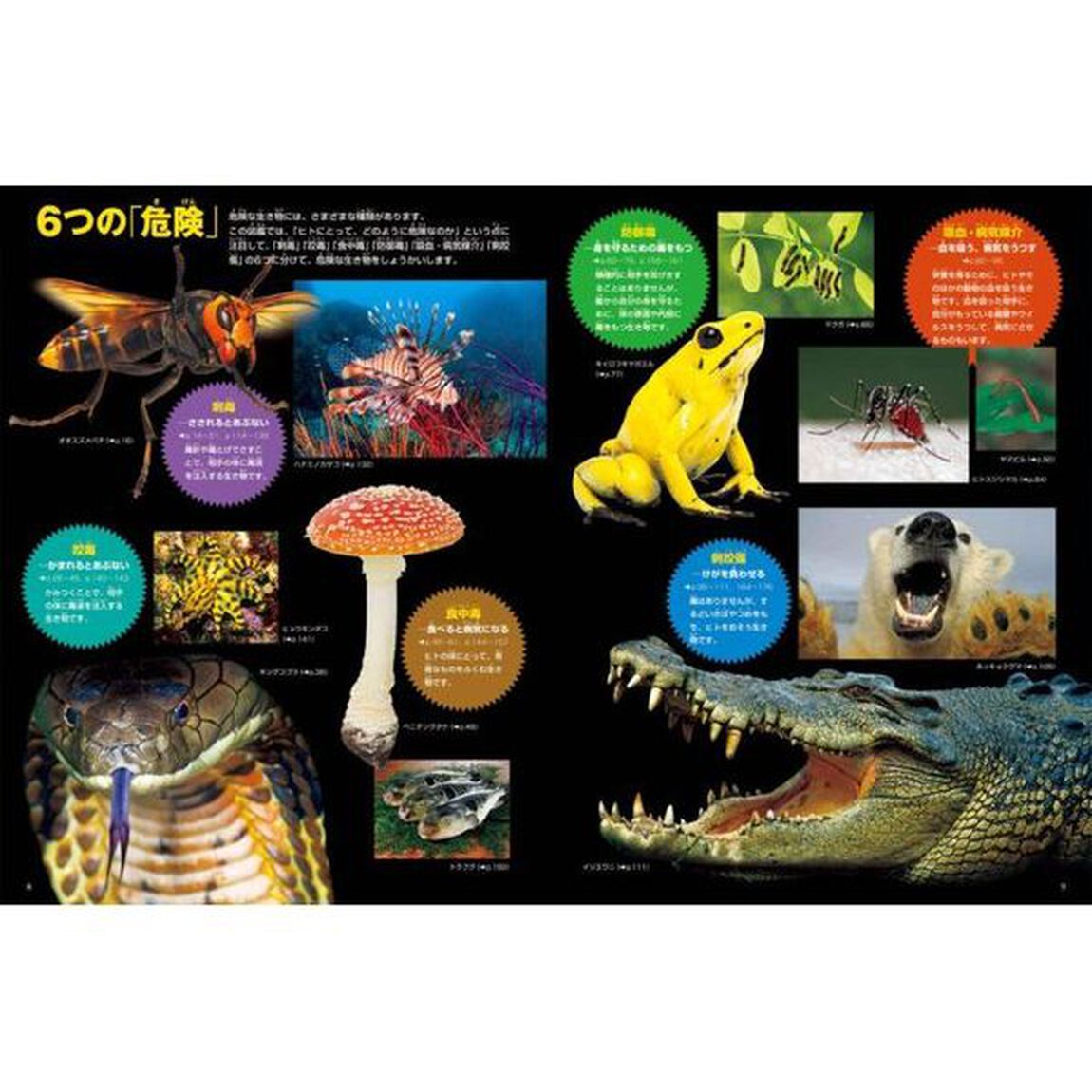 危険生物