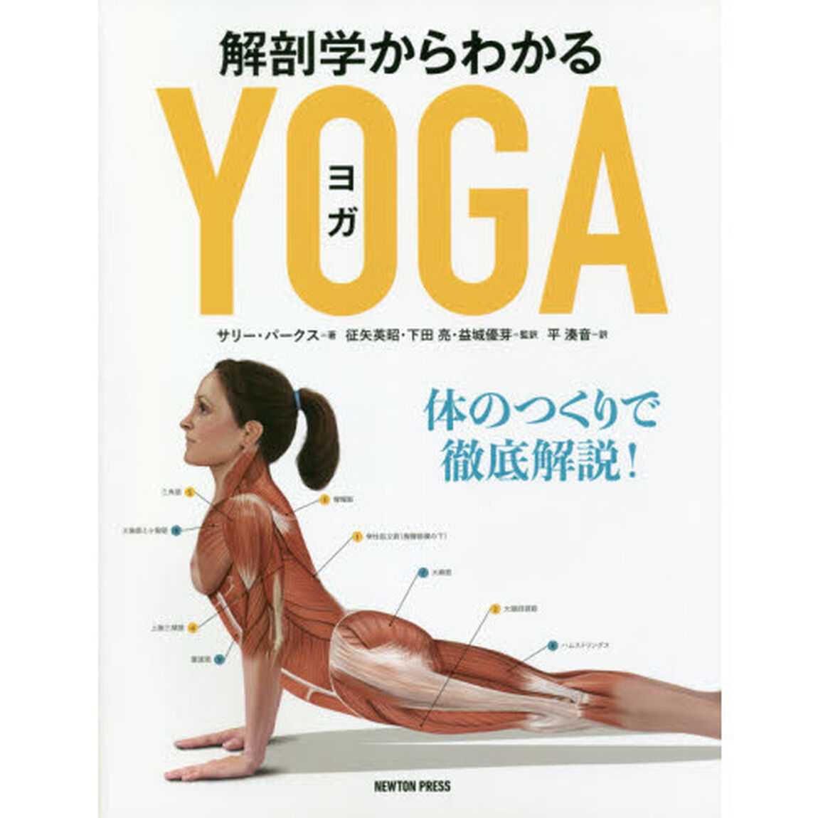 解剖学からわかるヨガ　体のつくりで徹底解説！