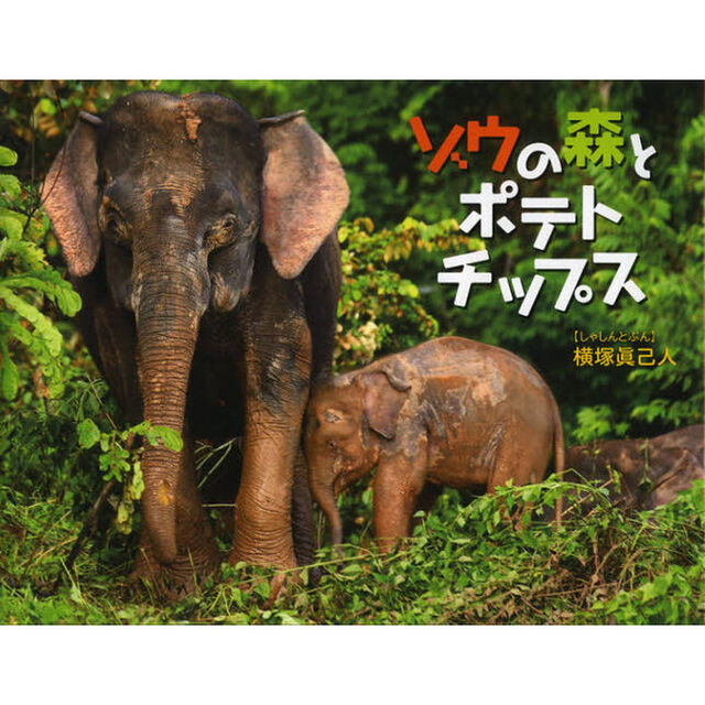 ゾウの森とポテトチップス