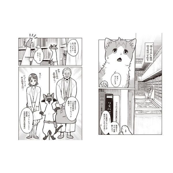 猫と竜 13 - 通販｜セブンネットショッピング