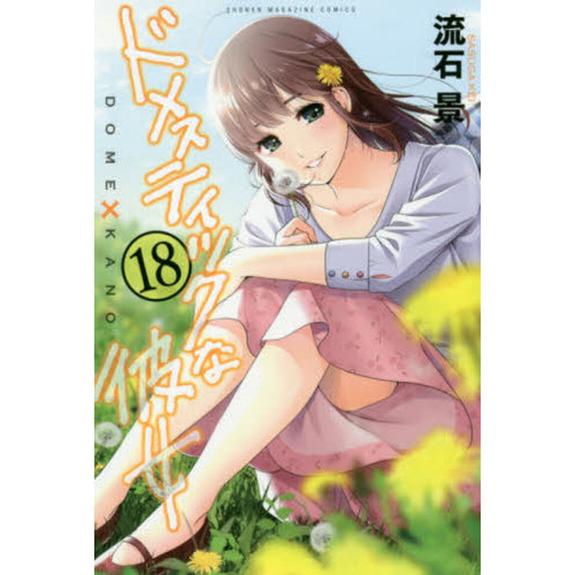 ドメスティックな彼女　１８