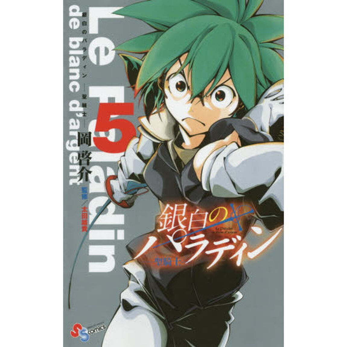 銀白のパラディン　聖騎士　５