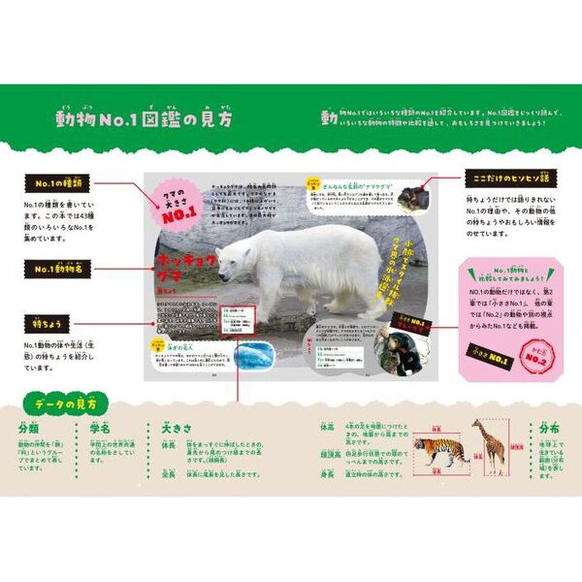 動物Ｎｏ．１図鑑