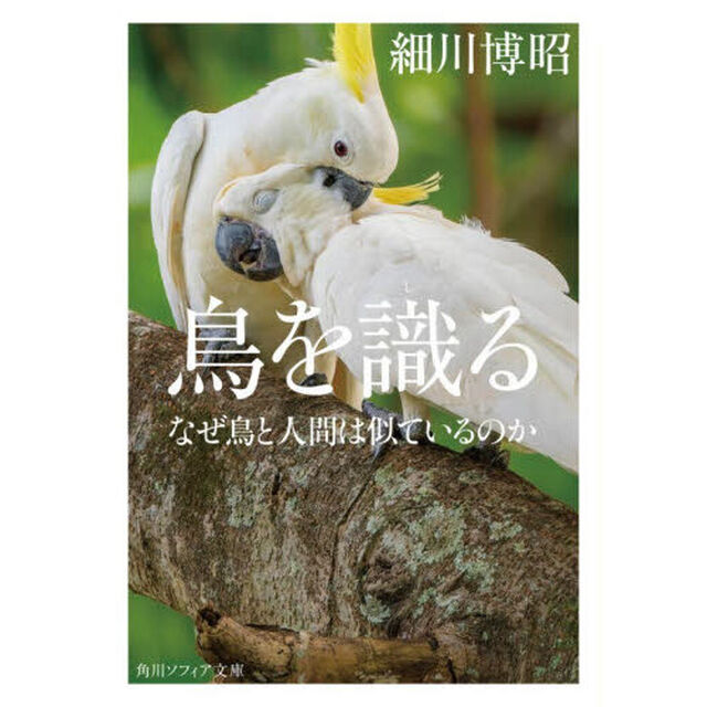 鳥を識る　なぜ鳥と人間は似ているのか