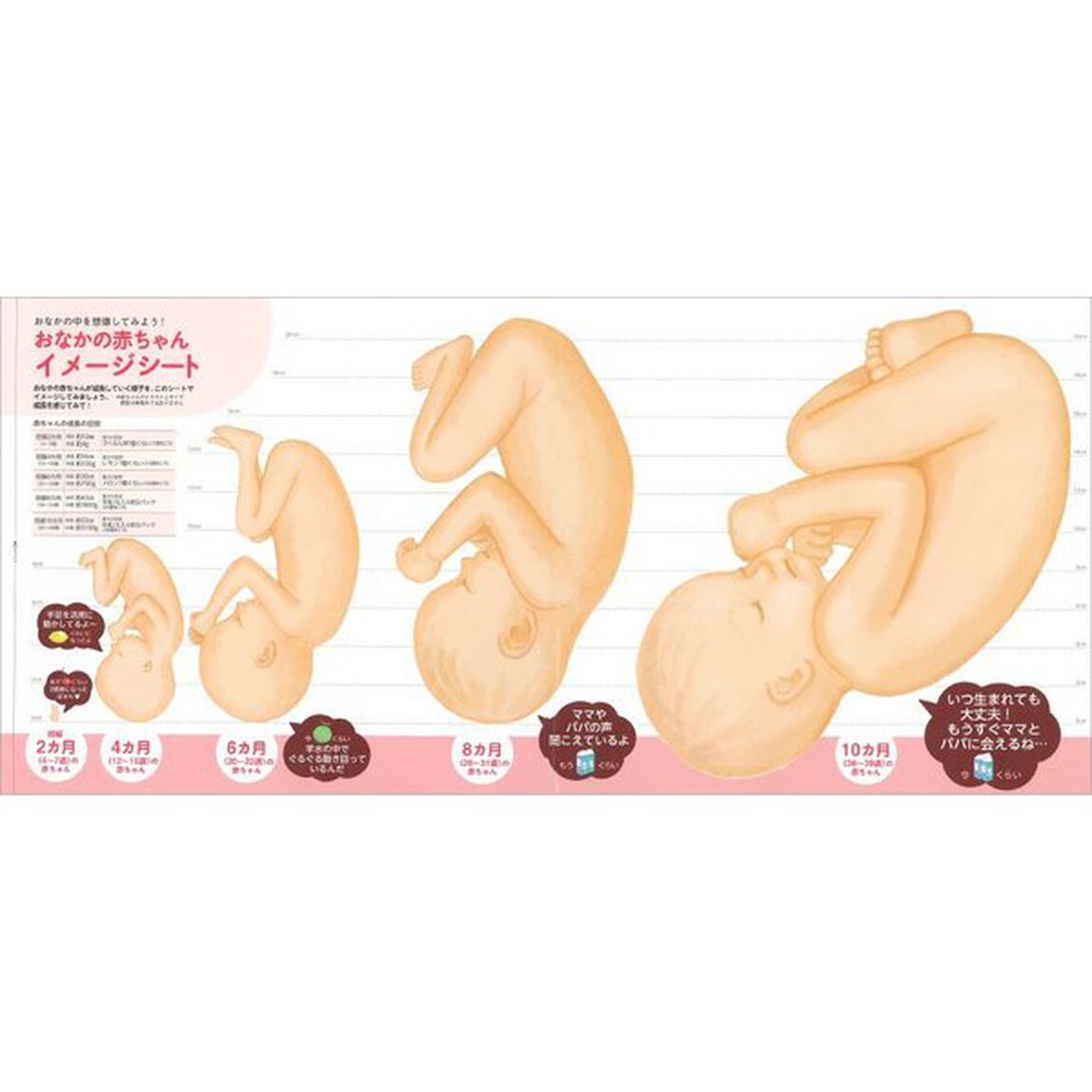 最新！妊娠・出産新百科ｍｉｎｉ　妊娠初期から産後１カ月までこれ１冊でＯＫ！　たまひよ新百科シリーズ