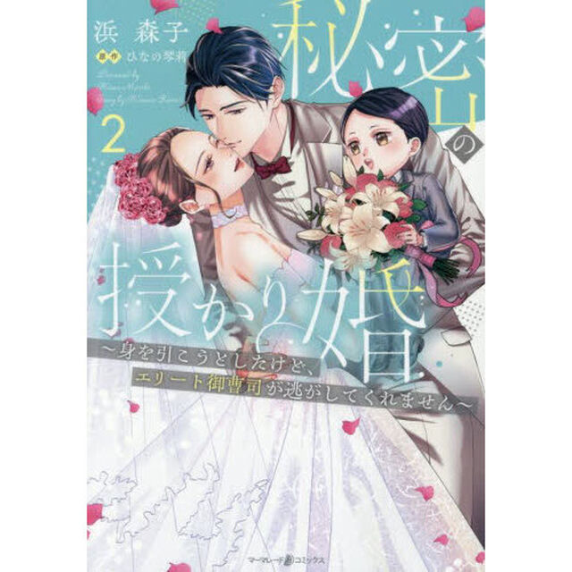 秘密の授かり婚　身を引こうとしたけど、エリート御曹司が逃がしてくれません　２