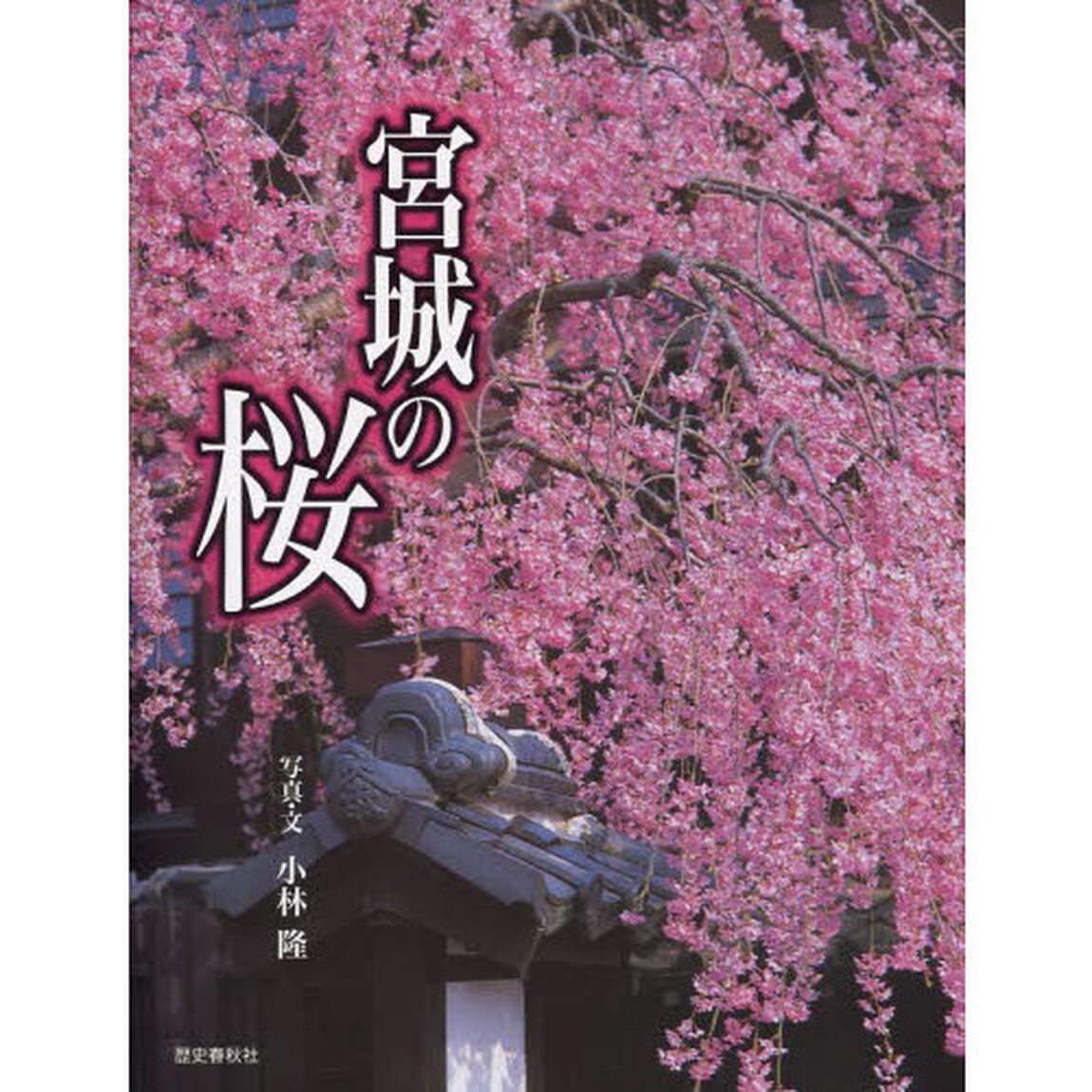 宮城の桜