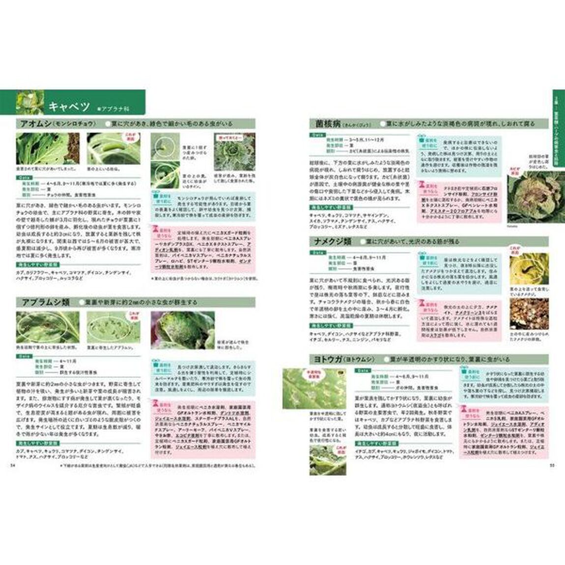 野菜の病気と害虫対策ＢＯＯＫ　決定版
