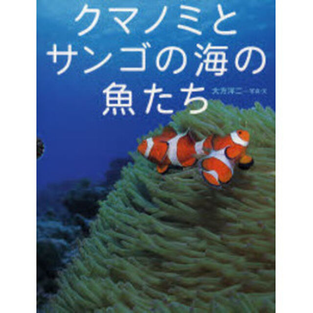 クマノミとサンゴの海の魚たち