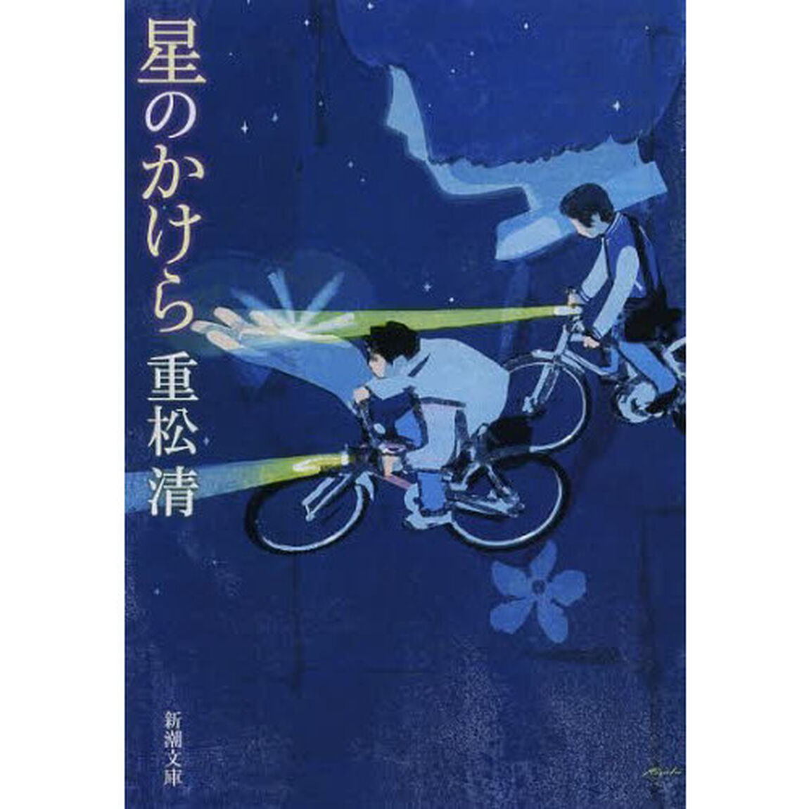 星のかけら